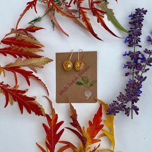 May include: Gold-toned earrings with a circular design and a small gold bead in the center. The earrings are displayed on a brown card with the text "White Radish Designs" and a radish illustration. The image is surrounded by colorful autumn leaves and purple flowers.