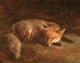 Sleeping Fox | Fine Art Print | Multiple Sizes | Cozy Cottagecore Painting