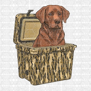 May include: A brown Labrador Retriever dog inside a camouflage-patterned cooler. The cooler has a handle and a latch. The dog is looking forward.