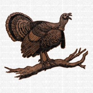 SVG de pavo, SVG de pavo salvaje, SVG de caza de pavo salvaje, SVG de pavo en rama, archivo de grabado láser, archivo de corte CNC, SVG de vida silvestre rústica, dxf png eps