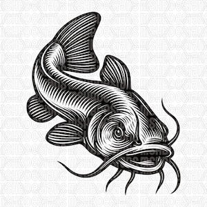 Könnte beinhalten: Detaillierte Schwarz-Weiß-Illustration eines Welses. Der Fisch ist in einem stilisierten, gravierten Stil dargestellt, mit sichtbaren Barteln und Flossen. Geeignet für Angelfreunde oder Interessierte an der Unterwasserwelt.