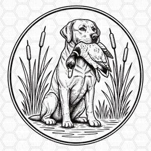 May include: Black and white illustration of a Labrador Retriever sitting and holding a duck in its mouth. The dog is inside a circular frame with cattails and grass. The design is detailed and suitable for hunting or outdoor themes.