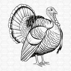 May include: Black and white illustration of a turkey in a detailed, engraved style. The turkey is depicted in profile, showcasing its fanned tail feathers and textured body. The image is suitable for Thanksgiving or fall-themed designs.