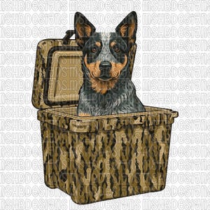 Blue Heeler in Camo Cooler – PNG & PDF Digital Download – Hunting Dog Art – Western Working Dog Design – Sticker, Sublimation, DTF