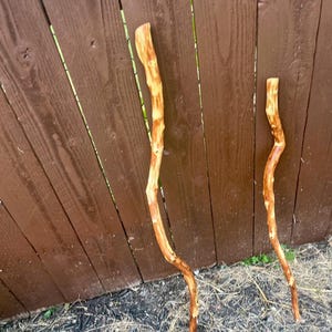 Handmade Walking Stick