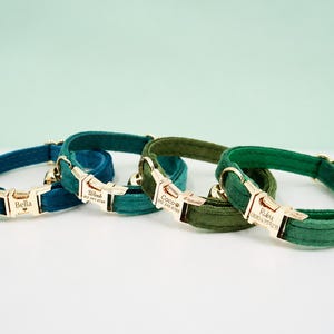 May include: Four velvet pet collars in shades of teal, dark teal, olive green, and emerald green. Each collar features a gold-tone metal buckle engraved with names like Bella, Wink, Coco, and Ruby, along with phone numbers and a small gold bell.