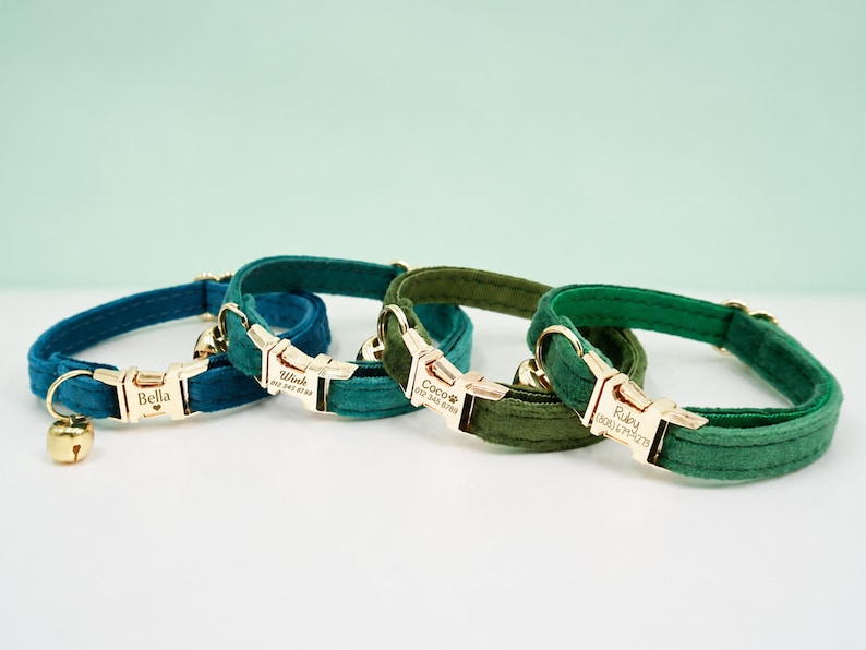 May include: Four velvet pet collars in shades of teal, dark teal, olive green, and emerald green. Each collar features a gold-tone metal buckle engraved with names like Bella, Wink, Coco, and Ruby, along with phone numbers and a small gold bell.