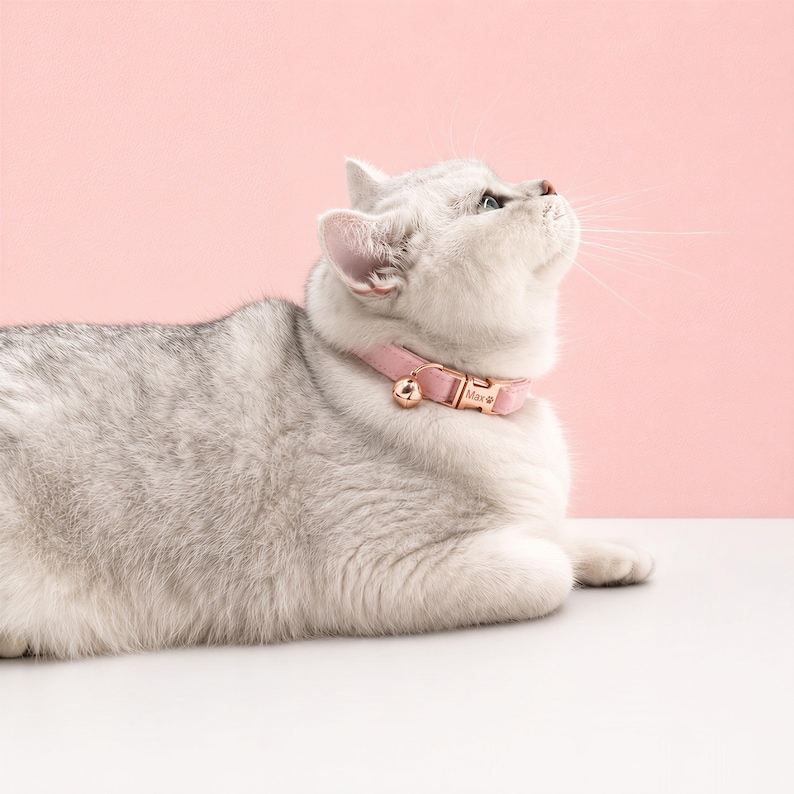 May include: A light gray cat wearing a soft pink collar with a rose gold buckle and a small matching bell. The collar features a personalized rose gold metal tag engraved with the name Max and a small paw print icon, secured by a metal clasp.