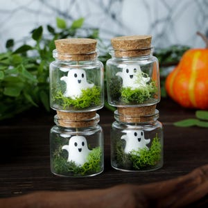 Pet Ghost in Jar, Cute Ghost in A Bottle, Mini Ghost Terrariums, Adoptable Ghost, Halloween Party Favors, Halloween Gift