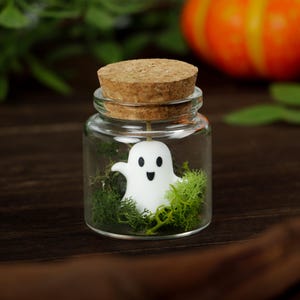 Pet Ghost in A Bottle, Cute Ghost in A Jar, Mini Ghost Terrariums, Adoptable Ghost, Halloween Party Favors, Halloween Gift