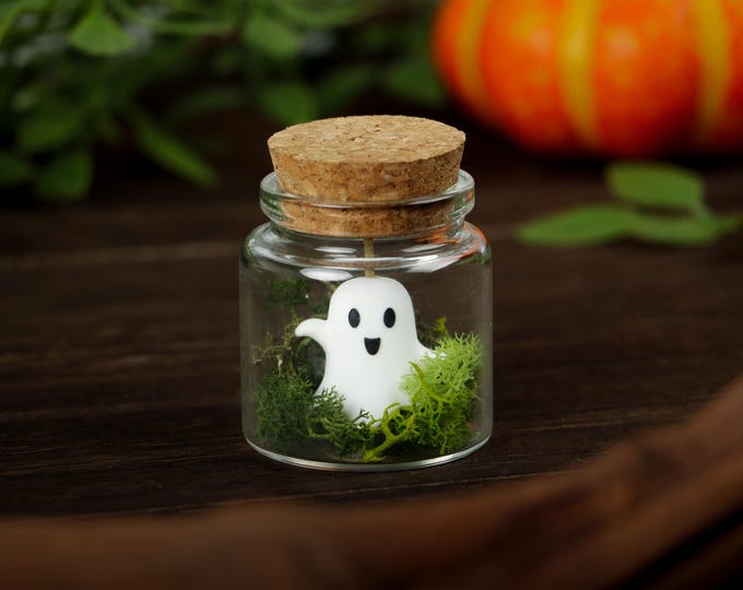 Pet Ghost in A Bottle, Cute Ghost in A Jar, Mini Ghost Terrariums, Adoptable Ghost, Halloween Party Favors, Halloween Gift