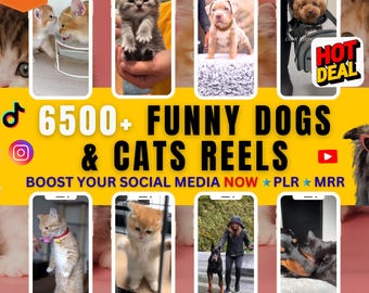 6500+ Funny Dogs and Cats Reels Videos-Super Mega Bundle–MRR/PLR–Viral Funny Animal Tiktok Reel,YouTube Shorts–Dog Cat Instagram Reels