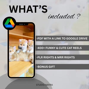 Peut inclure: Graphique avec le texte "WHAT'S included?" et un smartphone affichant des chatons. L'image liste un PDF avec un lien Google Drive, 400+ bobines de chats, les droits PLR & MRR et un cadeau bonus. Le logo Studio Nayra est en bas.