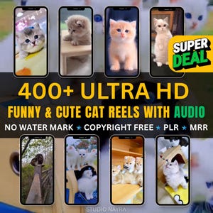 Peut inclure: Image promotionnelle pr&eacute;sentant des vid&eacute;os de chats sur des smartphones. Le texte indique "400+ ULTRA HD FUNNY & CUTE CAT REELS WITH AUDIO." Le texte suppl&eacute;mentaire comprend "NO WATER MARK * COPYRIGHT FREE * PLR * MRR" et une banni&egrave;re "SUPER DEAL".
