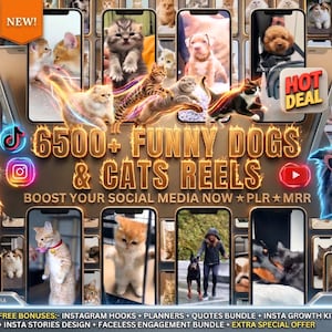 6500+ Funny Dogs and Cats Reels Videos-Super Mega Bundle–MRR/PLR–Viral Funny Animal Tiktok Reel,YouTube Shorts–Dog Cat Instagram Reels
