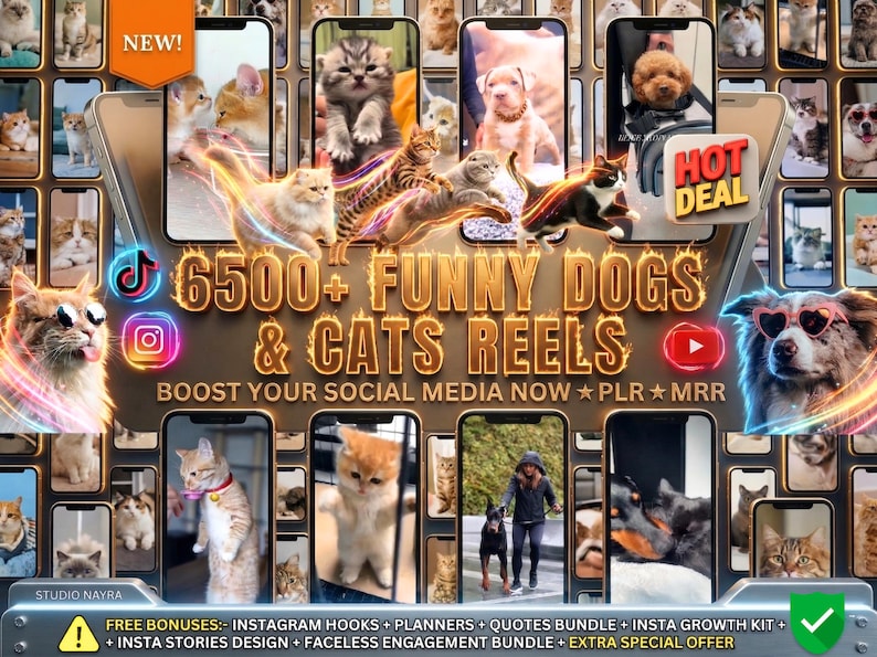 Funny Dogs and Cats Mega Video Bundle showing a collage of popular social media reels videos