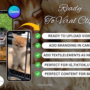 Banner highlighting the key features: 6500+ Videos, MRR/PLR Rights, and Instant Download