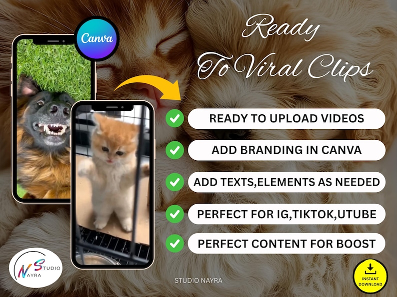 Banner highlighting the key features: 6500+ Videos, MRR/PLR Rights, and Instant Download