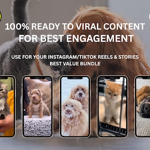 Preview image showcasing four hilarious and funny video thumbnails from the animal reels collection