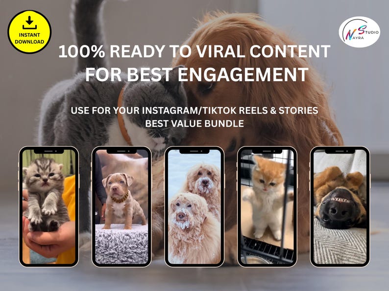 Preview image showcasing four hilarious and funny video thumbnails from the animal reels collection