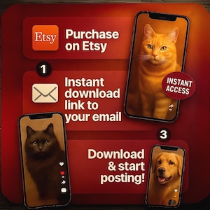 Funny Dogs and Cats Reels Videos-Super Mega Bundle