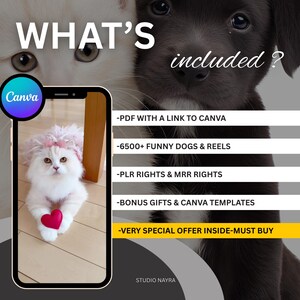 Visual mockup of a phone screen displaying a viral TikTok video from this bundle with thousands of likes