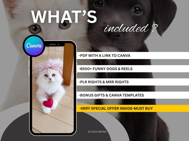 Visual mockup of a phone screen displaying a viral TikTok video from this bundle with thousands of likes