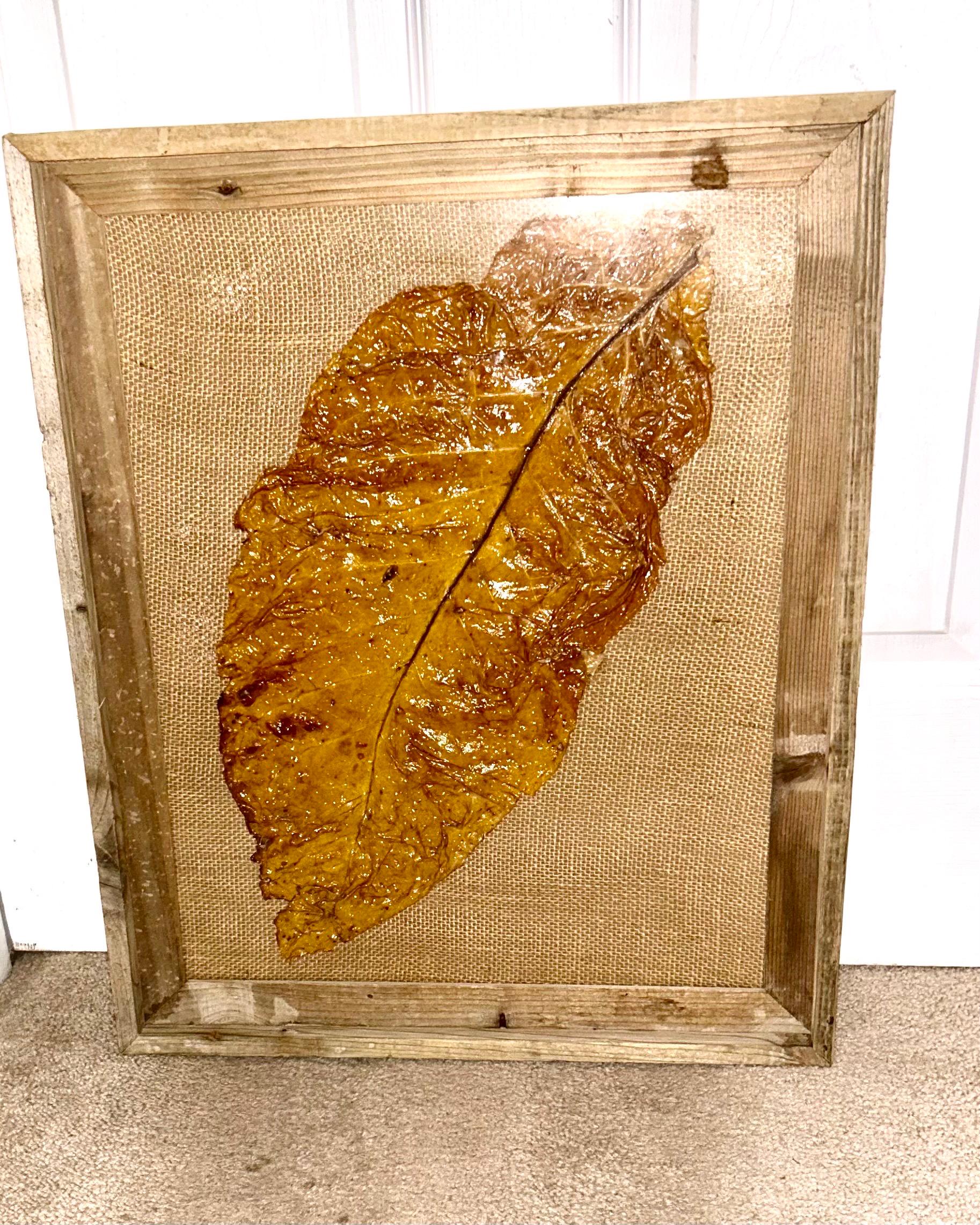 art tobacco Framed Tobacco Leaf