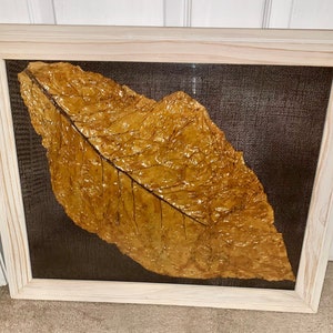 FRAMED TOBACCO LEAF #5