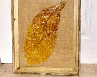 FRAMED TOBACCO LEAF #1