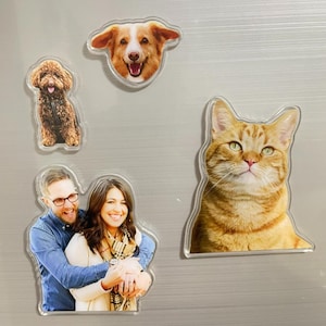 May include: A collection of clear acrylic magnets featuring various images. The magnets include a smiling dog, a brown poodle, a ginger cat, and a couple embracing. The magnets are attached to a silver surface.