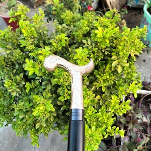 Ornate Brass C-Handle Walking Cane: Collapsible Dark Wood Staff