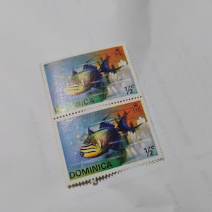 Dominica stamps - 1/2c tropical fish