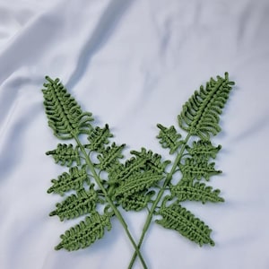May include: Two green crochet fern stems are crossed against a white background. The fern leaves are detailed with a textured pattern. The stems are a darker green than the leaves. The image is well-lit, highlighting the handmade quality.