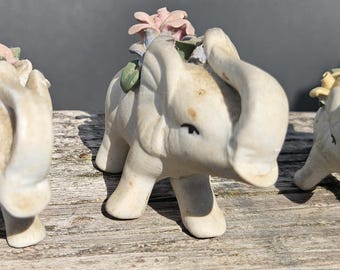 Whispers of the Wild: A Blossoming Bond