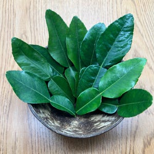 May include: A collection of fresh, vibrant green kaffir lime leaves arranged in a rustic, brown coconut shell bowl. The leaves have a glossy texture and are displayed on a light-colored wooden surface.