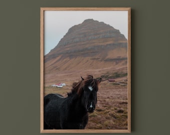 Icelandic Horse Print // Kirkjufell Mountain Photography, Travel Wall Art