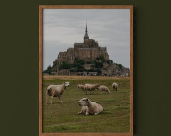 Mont St. Michel Print // Normandy Sheep Photography, France Wall Art