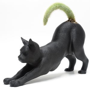 May include: A black cat-shaped planter with a green cactus growing from its back. The cat is in a stretching pose. The planter is made of a matte black material. The cactus is a vibrant green.