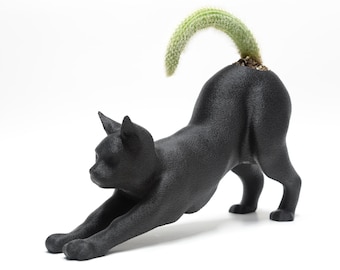 Maceta extensible para gatos sin cola: regalo divertido para amantes de los gatos, decoración personalizada para el hogar, cactus y suculentas.