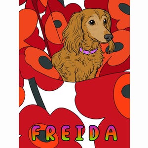 Freida der fabelhafte langhaarige Dackel vol. 1