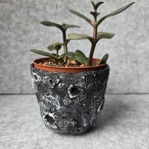 Medium-Large Moon Planter, Handmade Cement Papier-Mâché Indoor Plant Holder