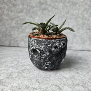 Small Moon Planter, Handmade Cement Papier-Mâché Indoor Plant Holder