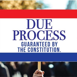 Due Process Resist Poster - Etsy