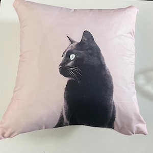 Cats Cushion cartoon pillow for Living room or bedroom