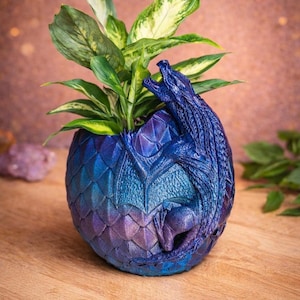 Vaso per piante | Uovo di drago con drago | Funzione di irrigazione | Vaso di fiori fantasy | Regalo per gli amanti delle piante | Decorazione mistica | Stampato in 3D