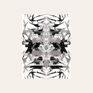 Impresión artística de collage psicodélico surrealista: decoración de pared simétrica inspirada en Rorschach (Póster Reflectivo 2) SIN MARCO