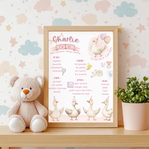 Party poster - geese - pink, first birthday, 1 year old, children's party, souvenirs