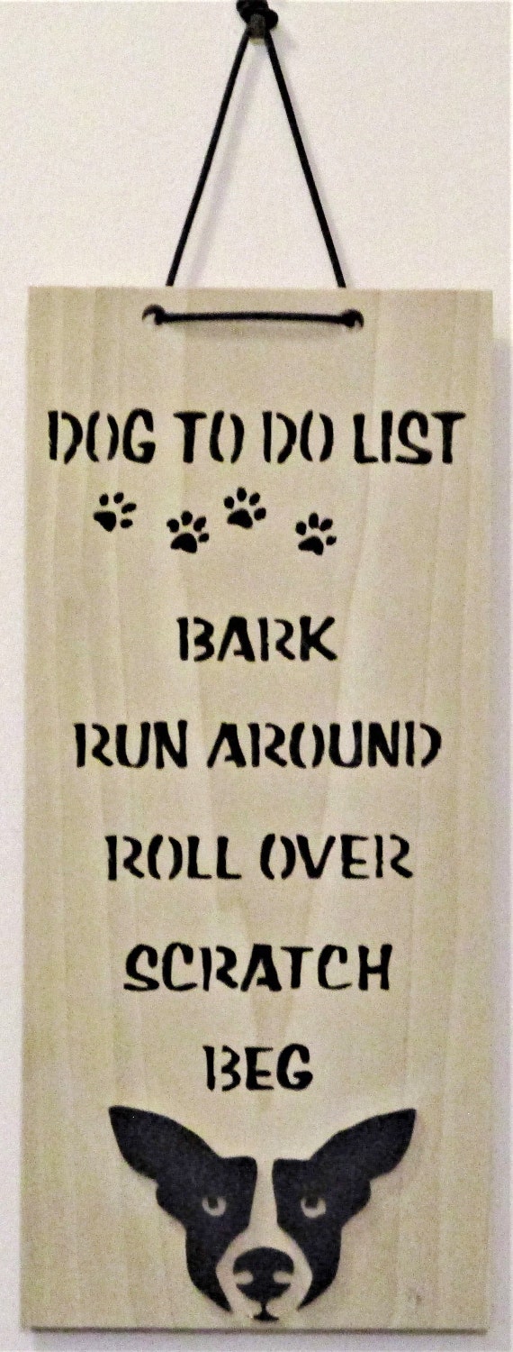 What Does It Mean When A Dog Scratches The Wall