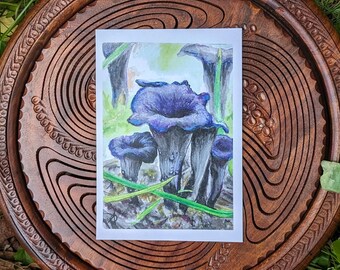 Black Trumpet Mushroom Art Print